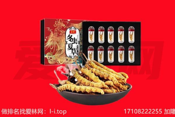 朝阳回收虫草.jpg